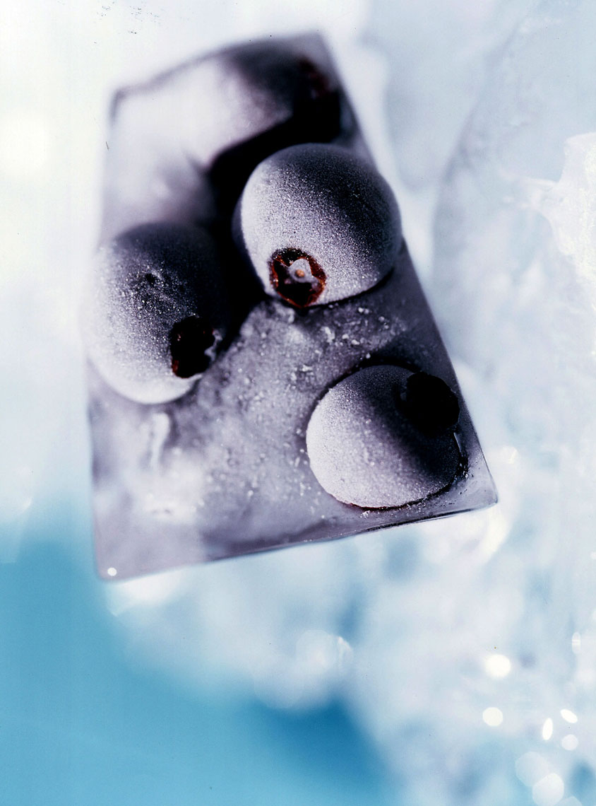 FOOD-WEB---BLUEBERRY-ICE-canvas