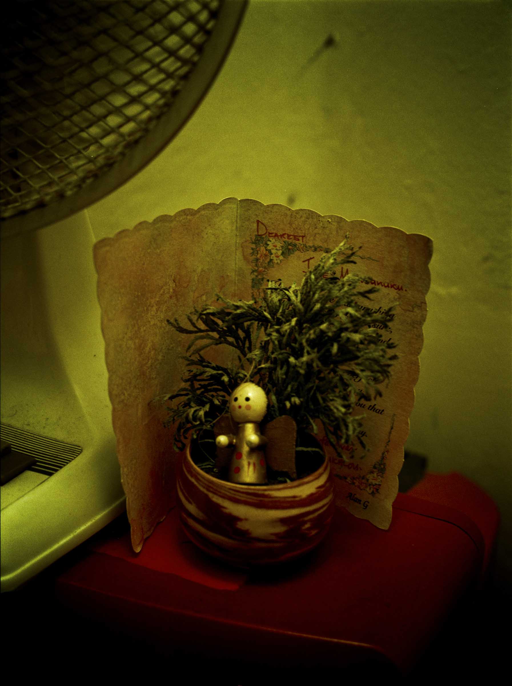 VL_Reportage_1807120505