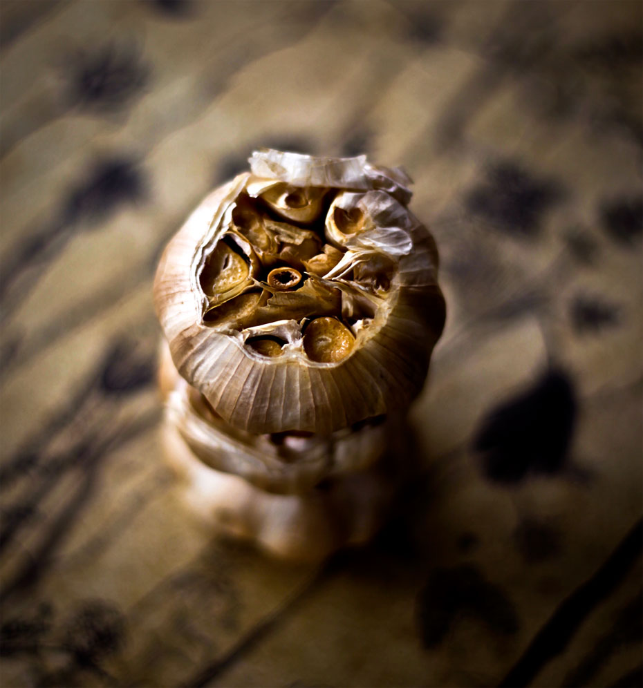WEB-food-garlic-close-up-table-canvas